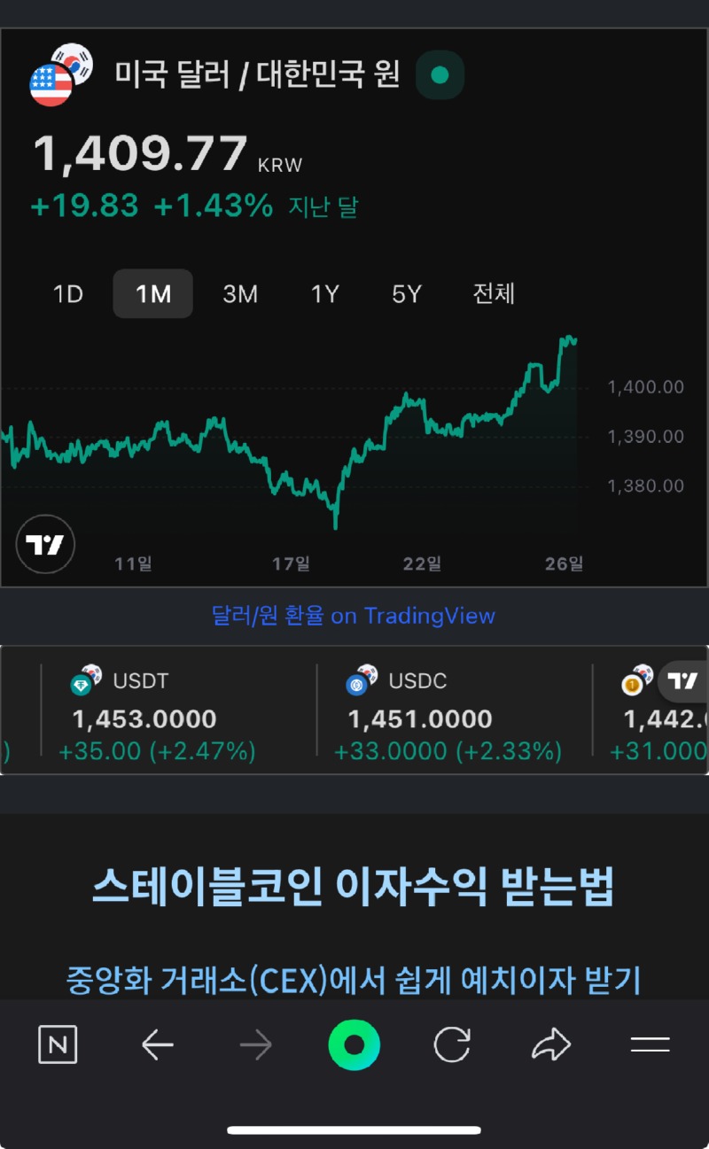 원달러 환율 보다 높은 스테이블코인 가격.jpg